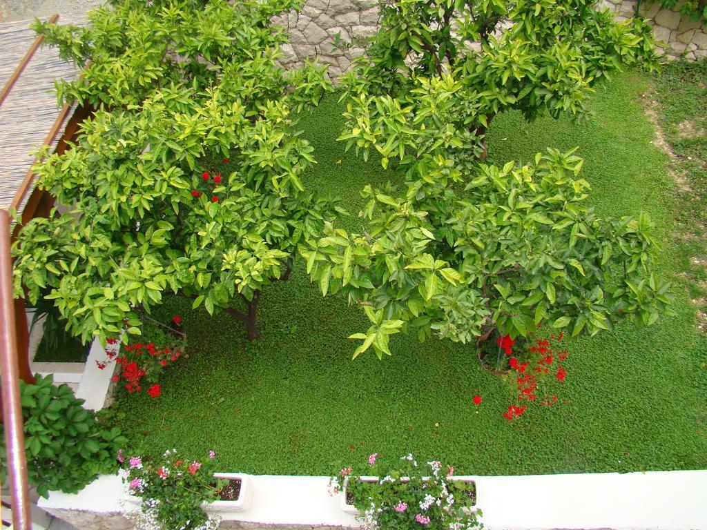 Apartments Villa Sunce Dugi Rat Exterior photo